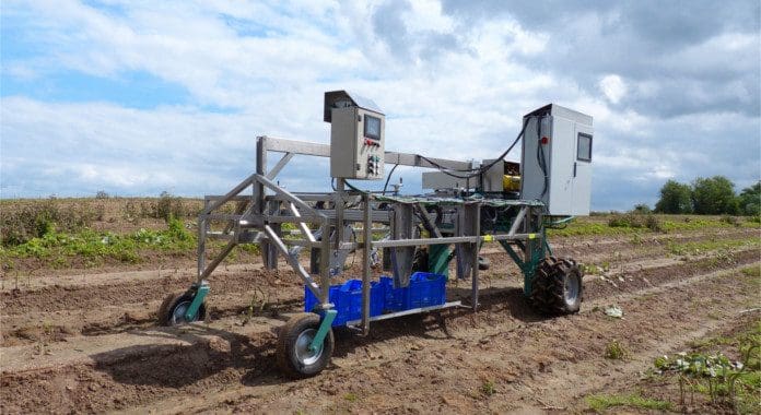 spargelerntemaschine_2_slider