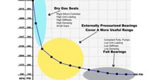 Scoping Don Bently’s Bearing Concept