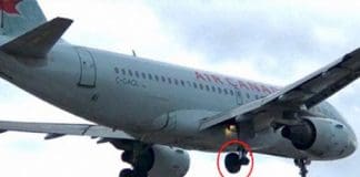 Two Failure Cases with Airplane Wheel Bearings in Canada