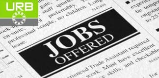 Rulmenti S.A. is looking for a Sales Consultant & Key Accounts Manager for Europe