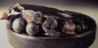 Achieving Bearing Application Stability