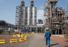 Beyond the Vibration: Why Industry’s Silent Signals Define the Future of Reliability