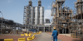 Beyond the Vibration: Why Industry’s Silent Signals Define the Future of Reliability